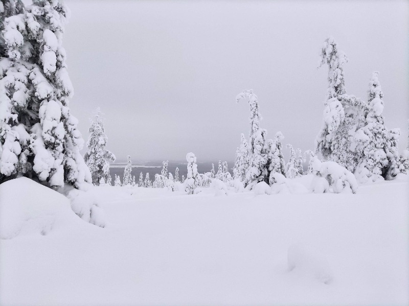 Lapland in Winter .- foto by Kai Metsävainio